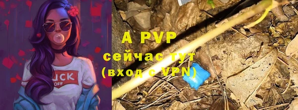 хмурый Ладушкин