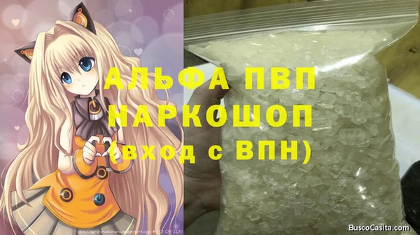 прущие грибы Алапаевск