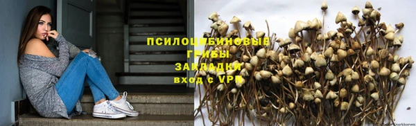 прущие крисы Лихославль